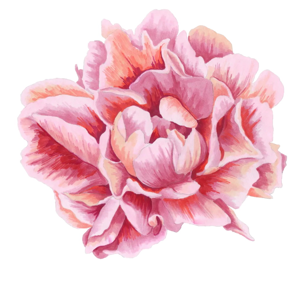 peony